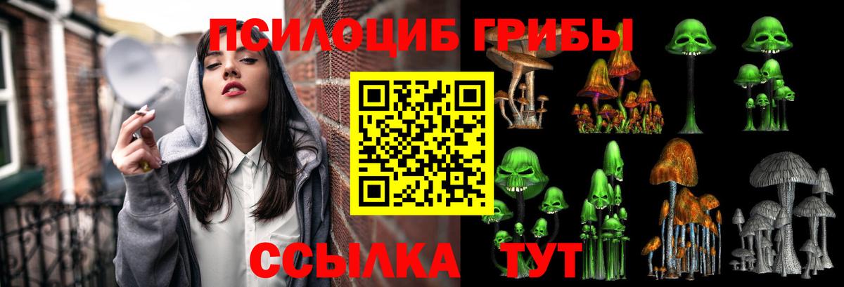 Псилоцибиновые грибы Cubensis  Вход с VPN  Псилоцибиновые грибы Cubensis  Черногорск 